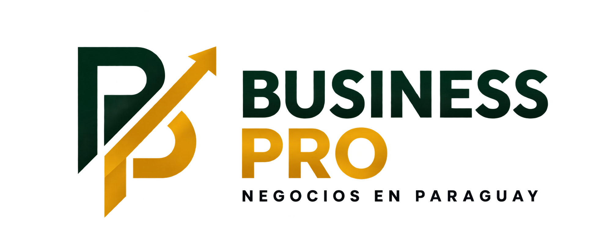 Business Pro · Negocios en Paraguay